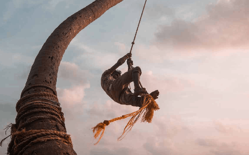 Rope Swings at Dalawella and Wijeya Beach